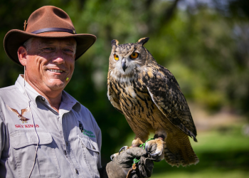 Aves de Presa llegan a Quinta Mazatlán hoy jueves